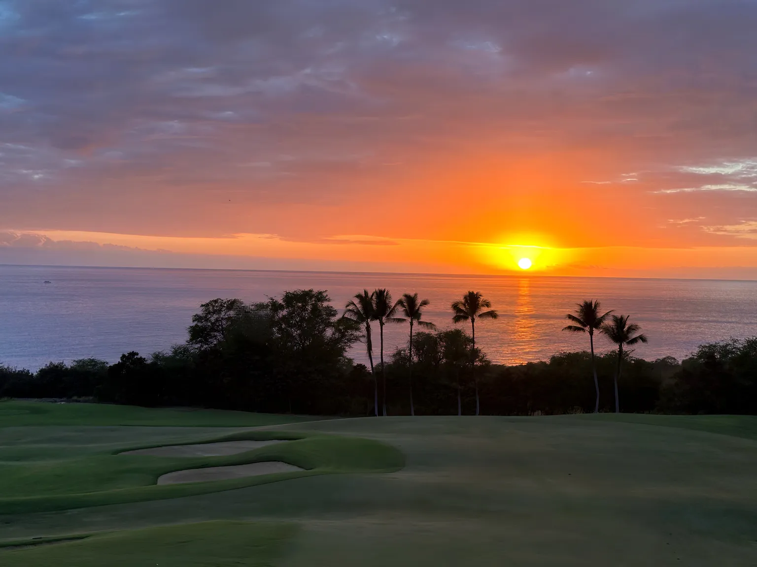 Sun setting over the ocean beyond palms and a golf green.